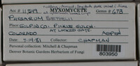 Image Associated With the Occurence